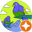 Bruno profile picture